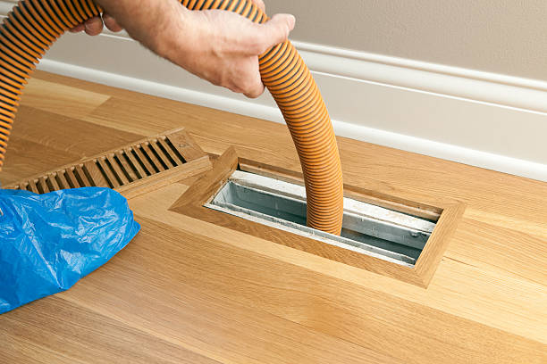 Best Dryer Vent Cleaning Services  in Sneads, FL
